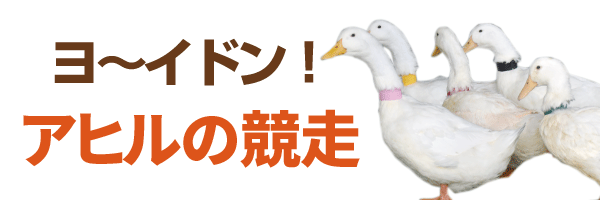 ヨ～イドン！アヒルの競走